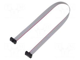Ribbon cable with IDC connectors | IDC socket,both sides | 30AWG