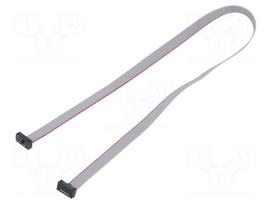 Ribbon cable with IDC connectors | IDC socket,both sides | 30AWG