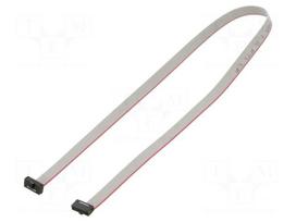 Ribbon cable with IDC connectors | IDC socket,both sides | 30AWG