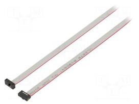 Ribbon cable with IDC connectors | IDC socket,both sides | 30AWG