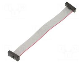 Ribbon cable with IDC connectors | IDC socket,both sides | 30AWG