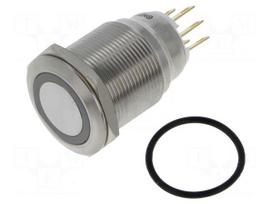 Switch: vandal resistant | Pos: 2 | SPDT | 3A/220VAC | 5A/24VDC | IP65