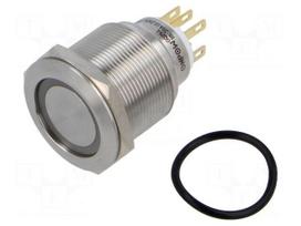 Switch: vandal resistant | Pos: 2 | SPDT | 3A/220VAC | 5A/24VDC | IP65