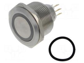 Switch: vandal resistant | Pos: 2 | SPDT | 3A/220VAC | 5A/24VDC | IP65