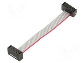 Ribbon cable with IDC connectors | IDC socket,both sides | 30AWG