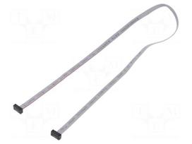 Ribbon cable with IDC connectors | IDC socket,both sides | 30AWG