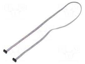 Ribbon cable with IDC connectors | IDC socket,both sides | 508mm