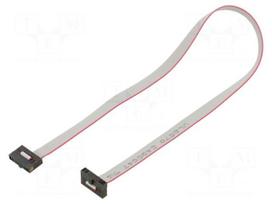 Ribbon cable with IDC connectors | IDC socket,both sides | 30AWG