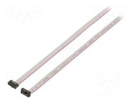 Ribbon cable with IDC connectors | IDC socket,both sides | 30AWG