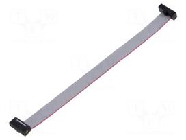 Ribbon cable with IDC connectors | IDC socket,both sides | 127mm