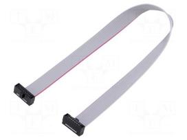 Ribbon cable with IDC connectors | IDC socket,both sides | 30AWG
