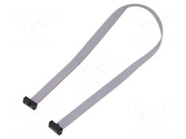 Ribbon cable with IDC connectors | IDC socket,both sides | 30AWG