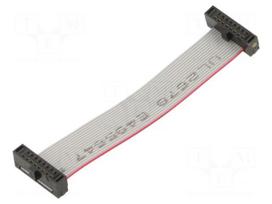 Ribbon cable with IDC connectors | IDC socket,both sides | 30AWG