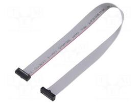 Ribbon cable with IDC connectors | IDC socket,both sides | 254mm