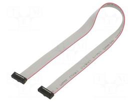Ribbon cable with IDC connectors | IDC socket,both sides | 30AWG