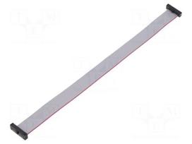 Ribbon cable with IDC connectors | IDC socket,both sides | 30AWG