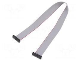 Ribbon cable with IDC connectors | IDC socket,both sides | 254mm