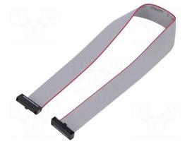 Ribbon cable with IDC connectors | IDC socket,both sides | 254mm