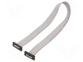 Ribbon cable with IDC connectors | IDC socket,both sides | 30AWG