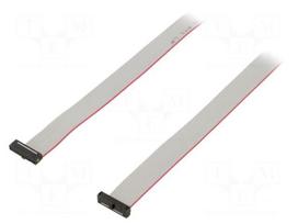 Ribbon cable with IDC connectors | IDC socket,both sides | 30AWG