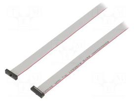 Ribbon cable with IDC connectors | IDC socket,both sides | 30AWG