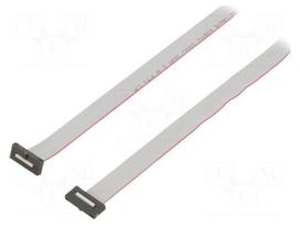 Ribbon cable with IDC connectors | IDC socket,both sides | 30AWG