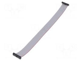Ribbon cable with IDC connectors | IDC socket,both sides | 30AWG