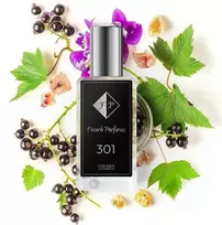 Nr301 kvepalai įkvėpti Calvin Klein - Euphoria Intense 104 ml