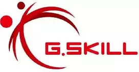 RAM 32GB G.Skill DIMM 6000 (2x 16GB) Dual-Kit (juodas, F5-6000J3038F16GH2-FX5, Flare X5)