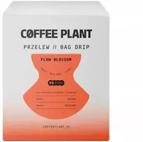 Coffee Plant Kawa ziarnista Kavos žolės lašų maišelis Kava KAVOS AUGALAS Žiedai 10 vnt.