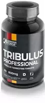German Forge Tribulus Professional 90 tabl. (Galioja iki: 2025.12.31)