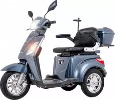Trijų ratų elektrinis paspirtukas inSPORTline Zorica Lion