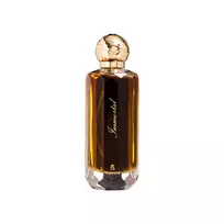 Aurora Scents Aurora Immortal EDP parfumuotas vanduo vyrams, 100 ml