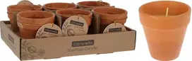 Mondex 9 CM CITRONELOS VAŠKO ŽVAKĖ INDE