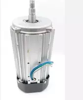 Dedra elektrinis variklis 800W