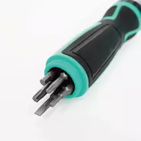 Atsuktuvas su galvutėmis ir antgaliu komplektu SD-9821 Pro'sKit