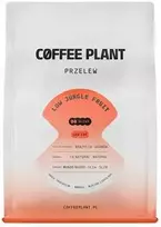 Coffee Plant Kavos plantacija KAVOS AUGALAS - mažai kofeino turinčios kavos pupelės MAŽAI „Jungle Fruit“ filtras 250 g