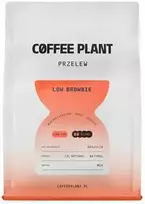 Coffee Plant KAVOS AUGALAS - MAŽAI Braunio filtras 250 g