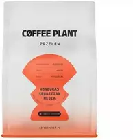 Coffee Plant KAVOS AUGALAS - Hondūras Sebastian Mejia medaus filtras 250 g