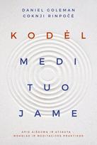 Kodėl medituojame