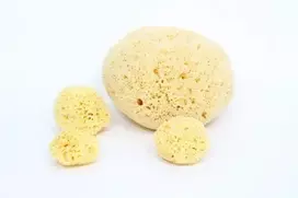 Bellini Babu® natūrali kempinė nr.10