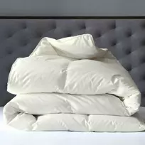 Saules Patalyne Žąsų pūkinė antklodė (70%-pūkų, 30%-plunksnų) su tiku EXCLUSIVE PLUS , 160x200 cm