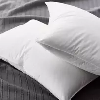 Saules Patalyne Žąsų pūkinė pagalvė su tiku (90%-pūkų, 10%-plunksnų) EXCLUSIVE ULTRA , 50x60 cm