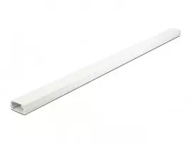 Delock kabelio kanalas su dangteliu lipnus 26 x 13 mm - ilgis 1 m baltas