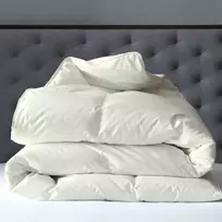 Saules Patalyne Žąsų pūkinė antklodė (70%-pūkų, 30%-plunksnų) su tiku EXCLUSIVE PLUS, 180x200 cm
