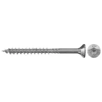 Fischer Medsraigtis 5,0 x 100 A2 Torx, 100vnt.