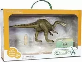 Collecta Surinkite Dinosaur Baryonyx figūrėlę dėžutėje