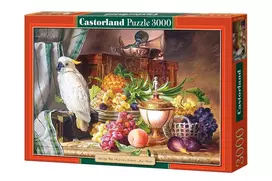 Castorland Dėlionė 3000 vnt. - Natiurmortas
