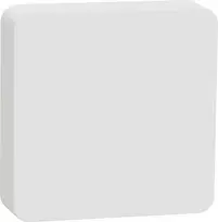 Apc Schneider Electric Wiser temperatūros ir drėgmės matuoklis
