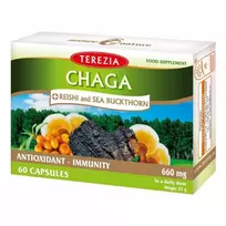 TEREZIA CHAGA IR REISHI GRYBAI SU ŠALTALANKIŲ ALIEJUMI